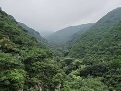 -苏家坨柳林村二月兰花海