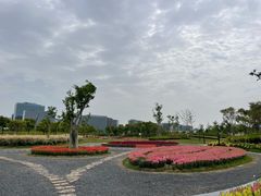 -春花秋色城市公园