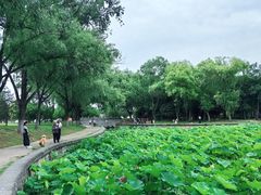 -定鼎门遗址博物馆