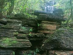 -水濂山森林公园