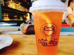 -喵屿·大理花园猫咖