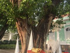 -龙环葡韵住宅式博物馆