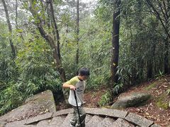 -玉苍山国家森林公园