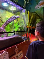 -酷嗒动物文化乐园(cutezoo西溪乐天城店)