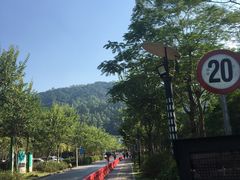 -火炉山森林公园