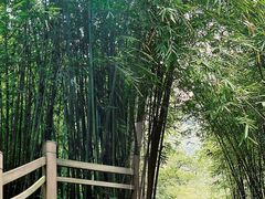 -南海湾森林生态园