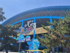 -泉城欧乐堡海洋极地世界