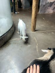 -Zoolung Zoolung动物主题公园(海信广场店)