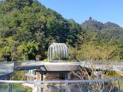 -缙云山景区