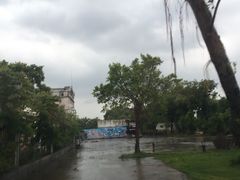 -广东紫坭糖厂(桥头路)