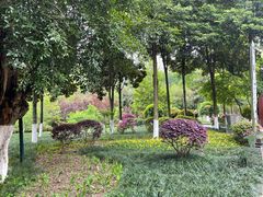 -龙头寺公园