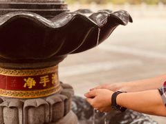 -深圳仙湖植物园