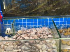 -鹿客臻鲜海鲜自助餐厅(永旺店)