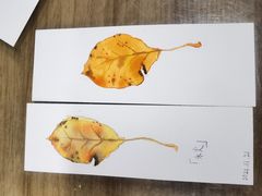 -八哥美术·成人美术画室(总校区)
