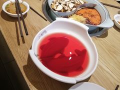 -青瓷火锅料理(西单大悦城店)