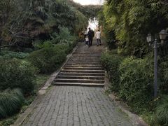 -苏州上方山国家森林公园