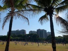 -深圳龙潭公园