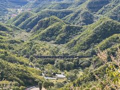 -大岭沟猕猴桃谷风景区