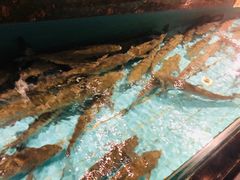 -西贝海鲜汇(槐安路店)