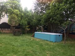 -翊宠yipet猫狗购宠庄园犬舍•猫舍