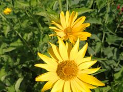 -永定河休闲森林公园