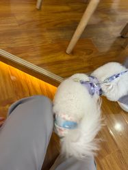 -梵茜儿·头道汤养生馆