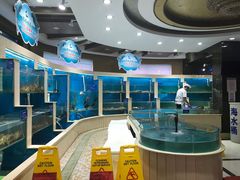 -福泉海码头(六里山店)
