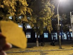 -广东药科大学(广州校区大学城校园)