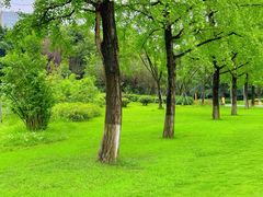 -成都市活水公园