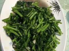 -丽苑大酒店