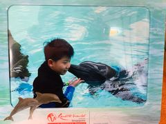 -新加坡水上探险乐园