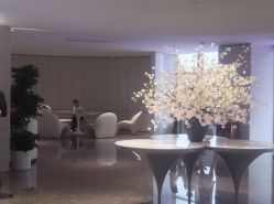 -广州美莱医疗美容医院