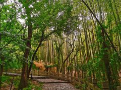 -虞山风景区