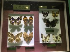 -上海昆虫博物馆