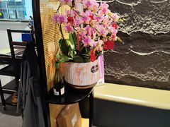 -餮熹Tipsea法餐(吉大店)