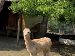 -武汉紫薇都市田园