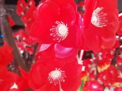 -盒马鲜生(红莲店)