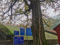 -东钱湖旅游度假区