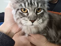 -酷狗靓猫宠物·洗护·美容·寄养(航北路店)