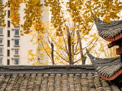 -古大圣慈寺