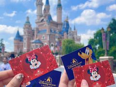 -上海迪士尼度假区