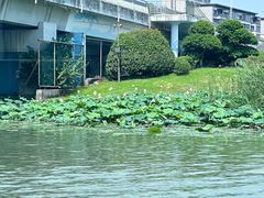 -扬州古运河