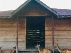 -安德鲁户外烧烤帐篷营地(马泉营店)