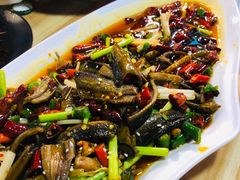 干煸鳝鱼-庆合府重庆大排档(紫都城店)