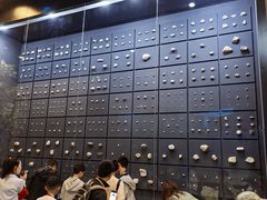 -北京周口店北京人遗址博物馆