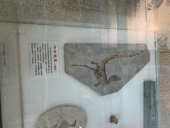-福州科技馆