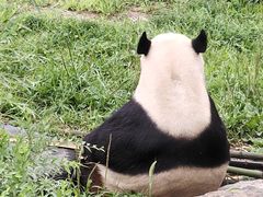 -沈阳森林动物园