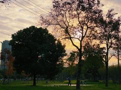 -上海山野camping·户外天幕烧烤·团建拓展营地