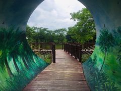 -福田红树林生态公园