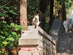 -四门塔风景区